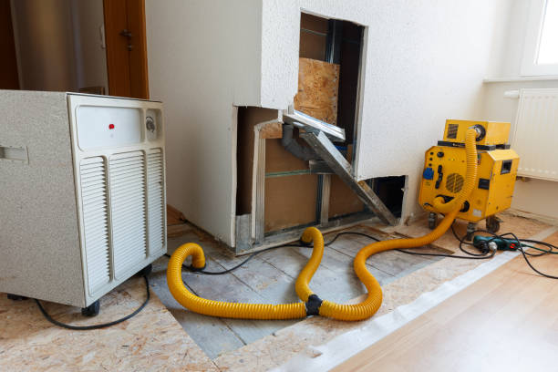 Best Mold Remediation for Healthcare Facilities  in Carle Place, NY